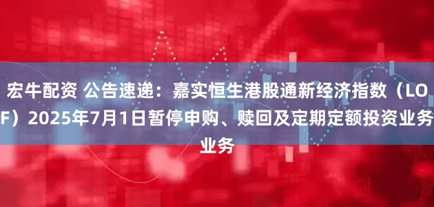 宏牛配资 公告速递：嘉实恒生港股通新经济指数（LOF）2025年7月1日暂停申购、赎回及定期定额投资业务