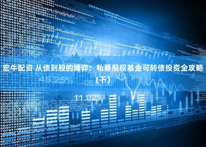宏牛配资 从债到股的博弈：私募股权基金可转债投资全攻略(下）