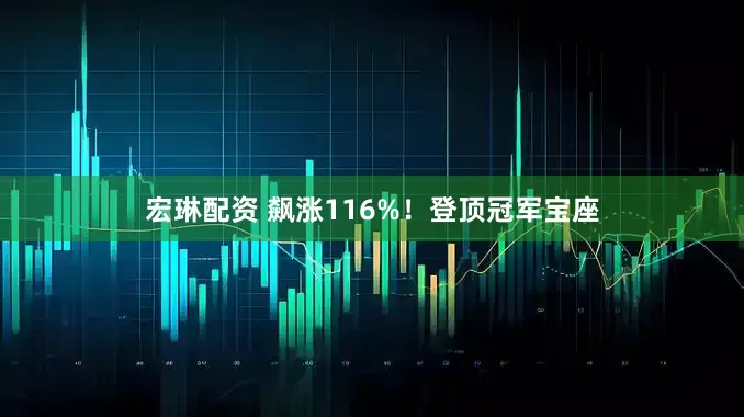宏琳配资 飙涨116%！登顶冠军宝座