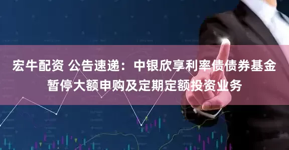 宏牛配资 公告速递：中银欣享利率债债券基金暂停大额申购及定期定额投资业务