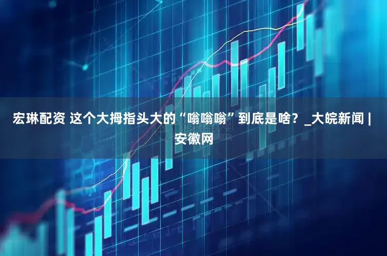 宏琳配资 这个大拇指头大的“嗡嗡嗡”到底是啥？_大皖新闻 | 安徽网