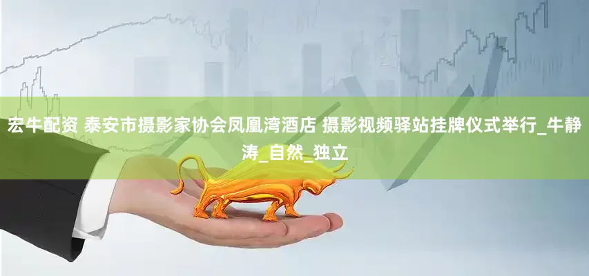 宏牛配资 泰安市摄影家协会凤凰湾酒店 摄影视频驿站挂牌仪式举行_牛静涛_自然_独立