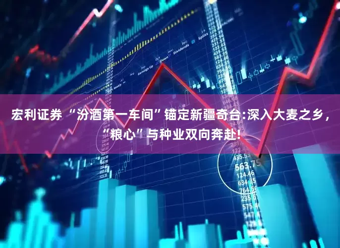 宏利证券 “汾酒第一车间”锚定新疆奇台:深入大麦之乡，“粮心”与种业双向奔赴!