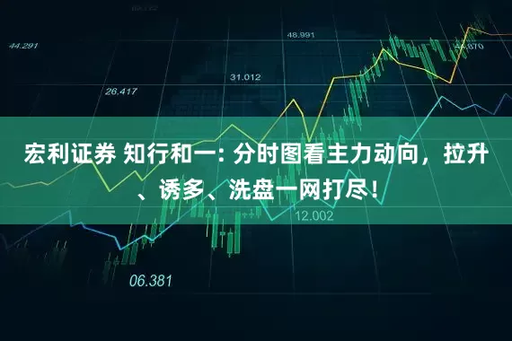 宏利证券 知行和一: 分时图看主力动向，拉升、诱多、洗盘一网打尽！
