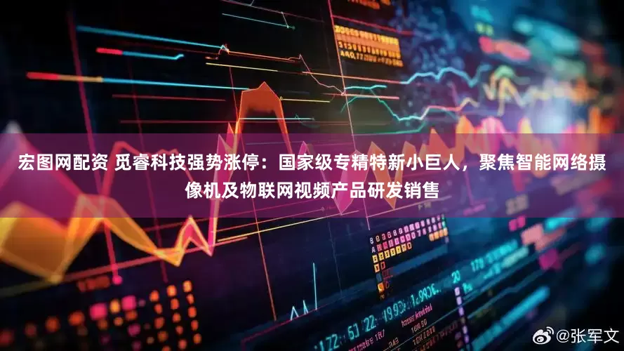 宏图网配资 觅睿科技强势涨停：国家级专精特新小巨人，聚焦智能网络摄像机及物联网视频产品研发销售