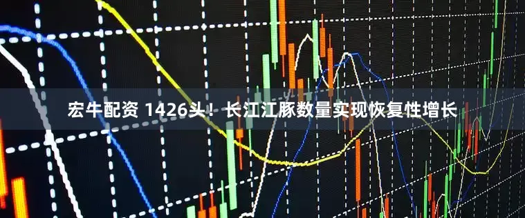 宏牛配资 1426头！长江江豚数量实现恢复性增长