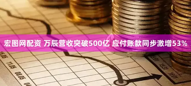 宏图网配资 万辰营收突破500亿 应付账款同步激增53%